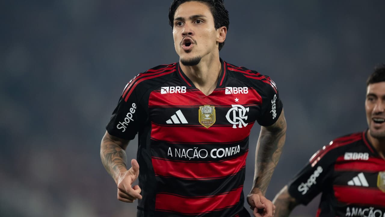 Pedro / Flamengo