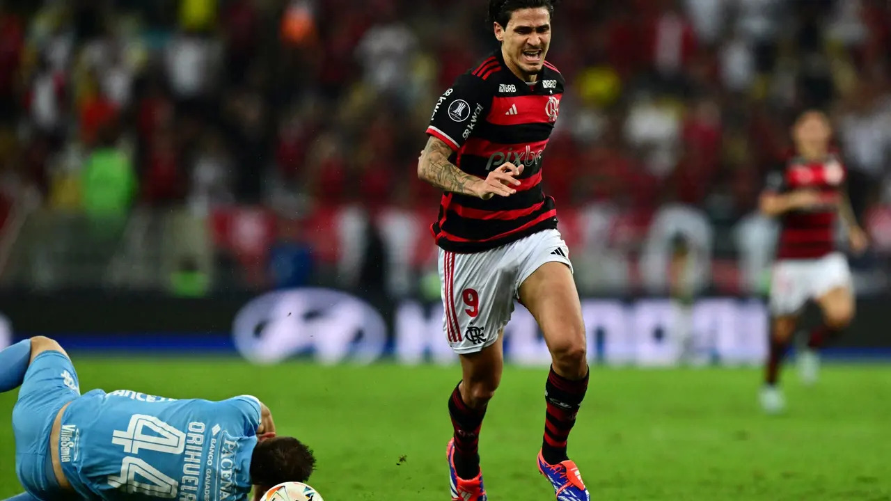 Pedro / Flamengo