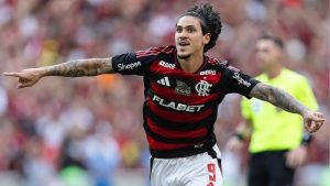 Pedro / Flamengo